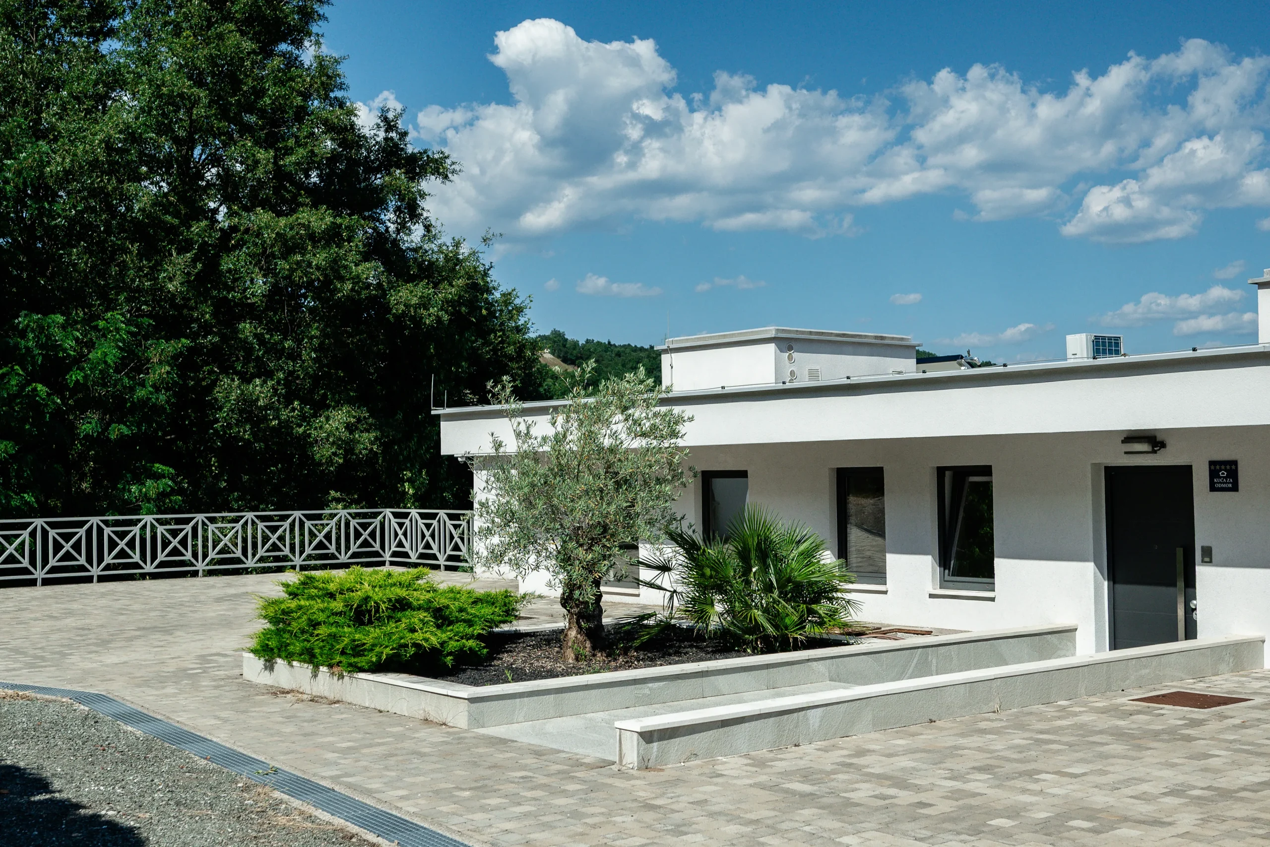 Villa Theodor's guest house exterior with a mature olive tree and Mediterranean garden entrance